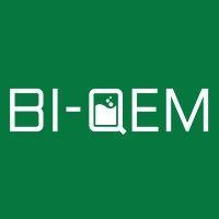 bi-qem logo image