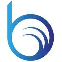 bluewater capital logo image