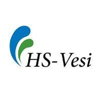 hs-vesi logo image