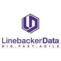 linebackerdata logo image