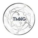 logo of Tmn Global