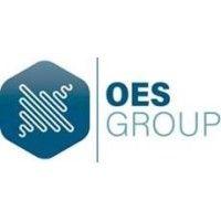 oes group logo image