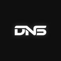 dnsnetworks technology company logo image