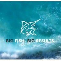 big marlin group logo image