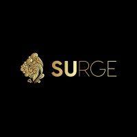 surge marketplace logo image