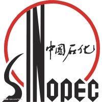 sinopec international petroleum service corporation logo image