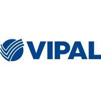 vipal borrachas logo image