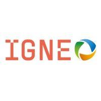 igneo logo image