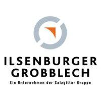 ilsenburger grobblech gmbh logo image