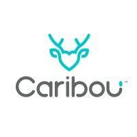 caribou