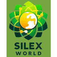 silex world ltd logo image