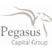 pegasus capital group logo image