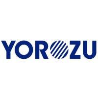 yorozu automotiva do brasil ltda