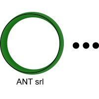 ant srl logo image