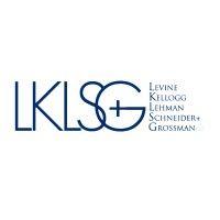 levine kellogg lehman schneider + grossman llp logo image