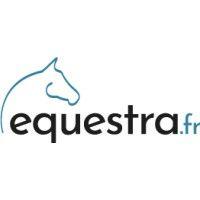 equestra logo image