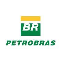 petrobras logo image