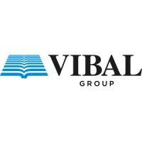 vibal group logo image