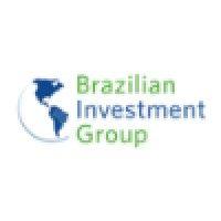 brazilian investment group logo image