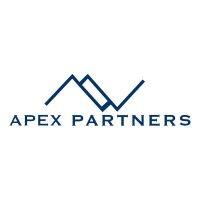 apex partners logo image