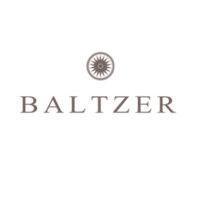 baltzer auction agency and services logo image