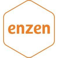 enzen global solutions logo image