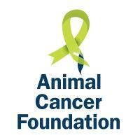 animal cancer foundation (acf) logo image