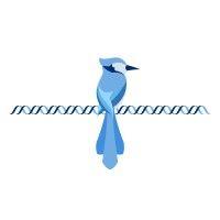 the johns hopkins biomedical engineering society logo image