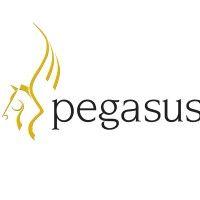 pegasus software logo image