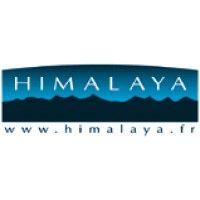 himalaya consulting logo image