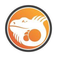 iguana media logo image