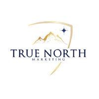 true north marketing logo image