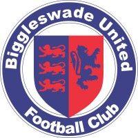 biggleswade united football club logo image