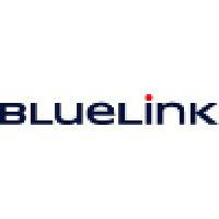 bluelink international australia logo image