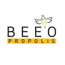 logo of Beeo Ari Urunleri