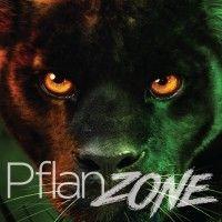 pflanz electronics logo image