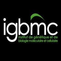 igbmc