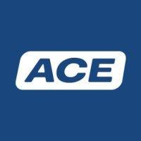 ace stoßdämpfer gmbh