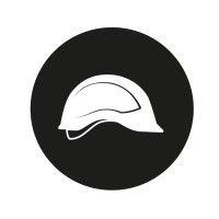 the white helmets logo image