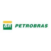 petrobras netherlands logo image