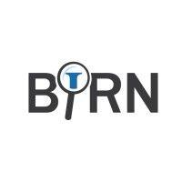 balkan investigative reporting network (birn) logo image