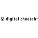 logo of Digital Cheetah Solutions Inc