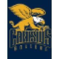 canisius university athletics logo image