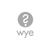 wye publishing logo image