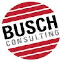 busch consulting, inc. logo image