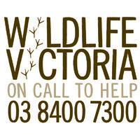 wildlife victoria logo image