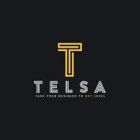 telsa logo image