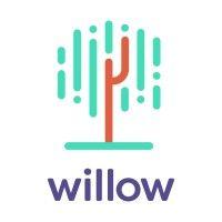 willow health technology