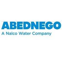 abednego environmental services logo image