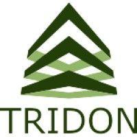 tridon group logo image